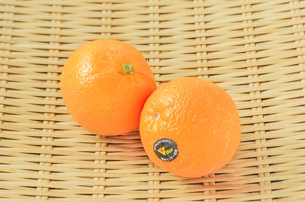 生ネーブルオレンジ（113玉サイズ）