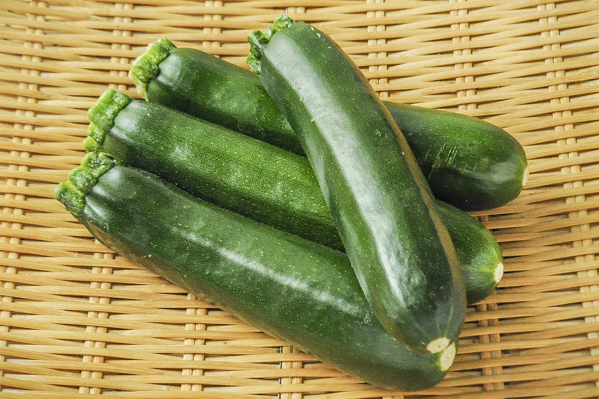 花ズッキーニ 八面六臂