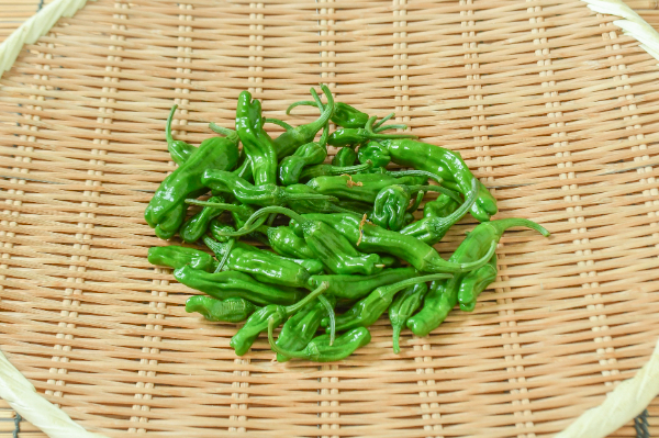 土筆（つくし） 【業務用食材の仕入れなら八面六臂】