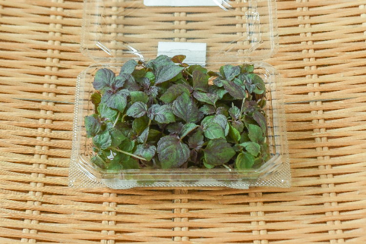 芳香あかしそ
