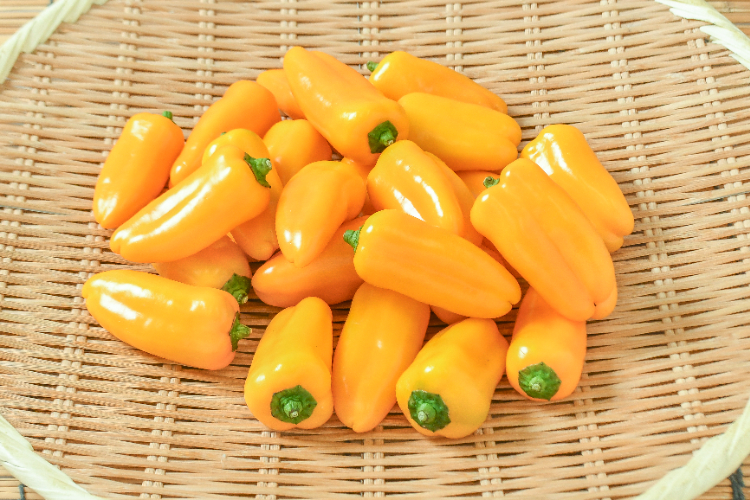 ジャンボピーマン（M） 【業務用食材の仕入れなら八面六臂】