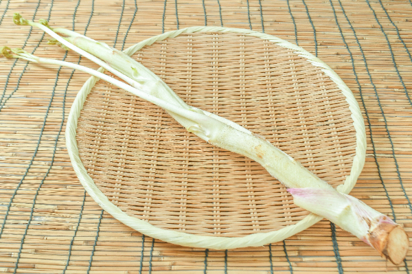 山うど（A） 【業務用食材の仕入れなら八面六臂】