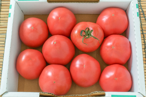シュガートマト（10玉サイズ）（糖度7度以上）