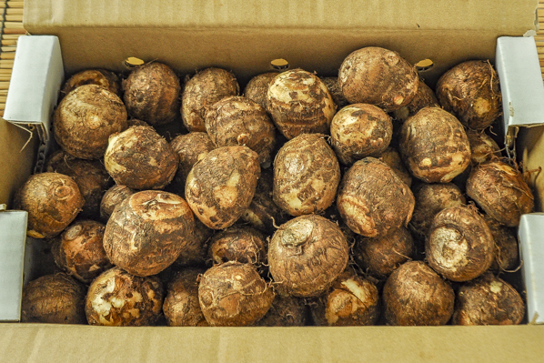 石川芋（２L）2kg箱