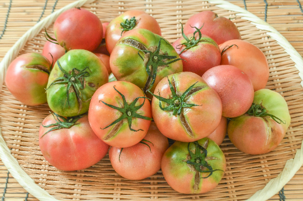 つぶし大玉トマト（加工用）3kg