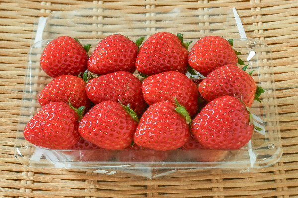 ほしうらら（2L）