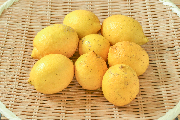 レモン（リスボン）1kg