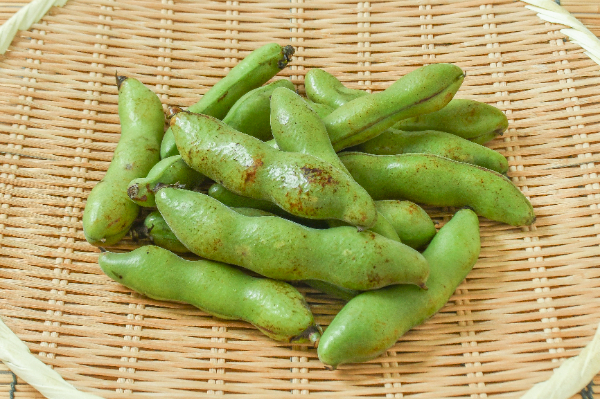 そら豆（BL）500gr
