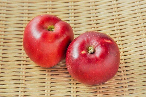 りんご（紅玉）（53玉サイズ）