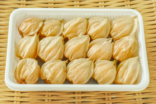 芋常　食用ほおずき　15玉位
