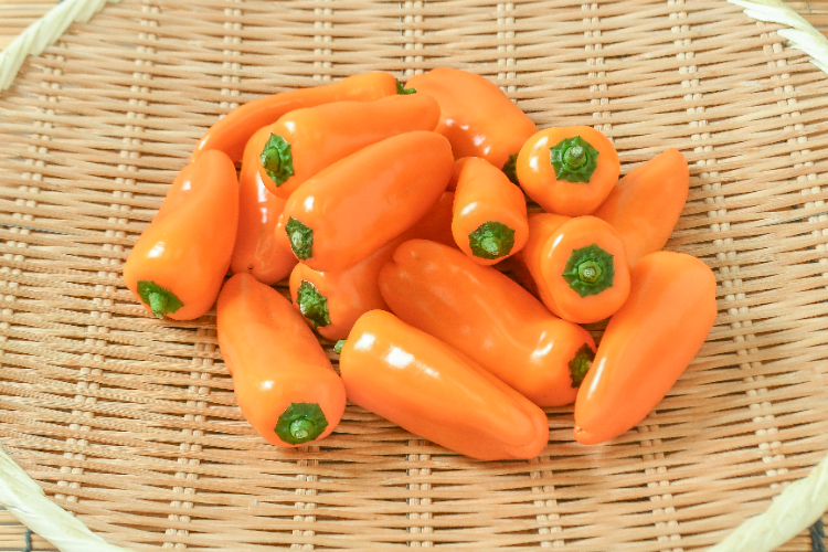 ちぐさ 【業務用食材の仕入れなら八面六臂】