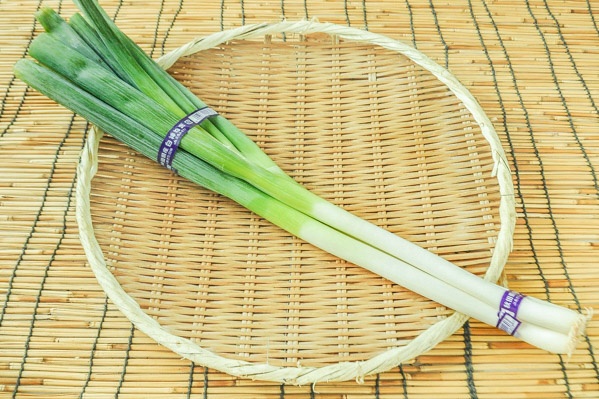 長ねぎ（L束） 【業務用食材の仕入れなら八面六臂】
