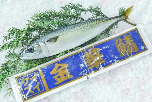 さば様専用 美しき