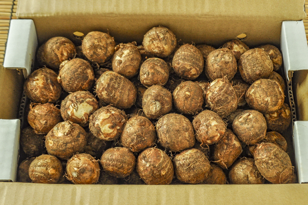 石川芋（L）2kg箱