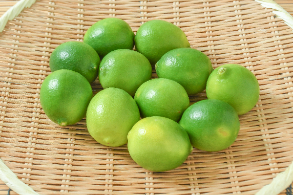 ライム（小）（赤秀）1kg