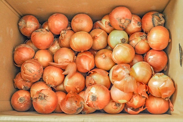 25kg 石川県加賀産　そばの実　丸抜き　むき実 25kg 石川県加賀産 そばの実 丸抜き むき実 米・雑穀・粉類