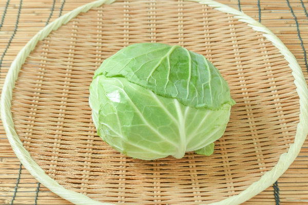 キャベツ加工品（冷蔵） 【業務用食材の仕入れなら八面六臂】