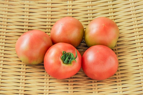 奥村さんの大玉トマト