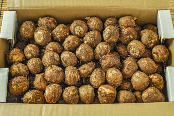 石川芋（M）2kg箱