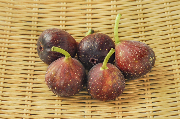 とよみつひめ いちじく 八面六臂