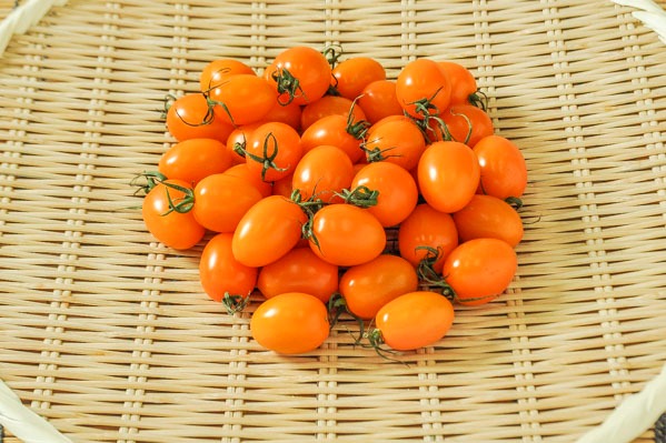 アイコトマト（オレンジ） 500gr