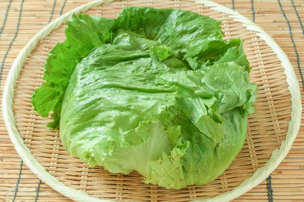 レタス（L）