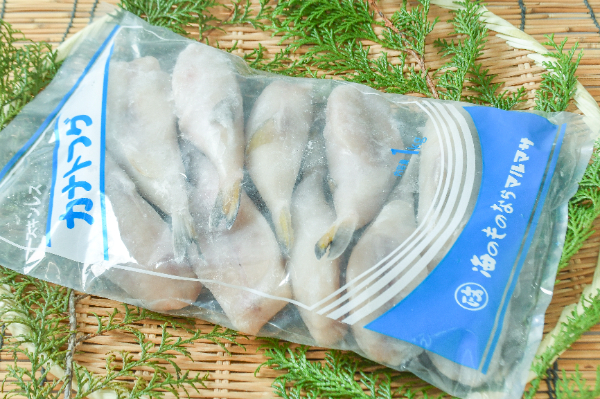 身欠き白サバフグ（10-15）