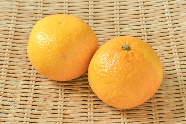 ネーブルオレンジ（4L） 【業務用食材の仕入れなら八面六臂】