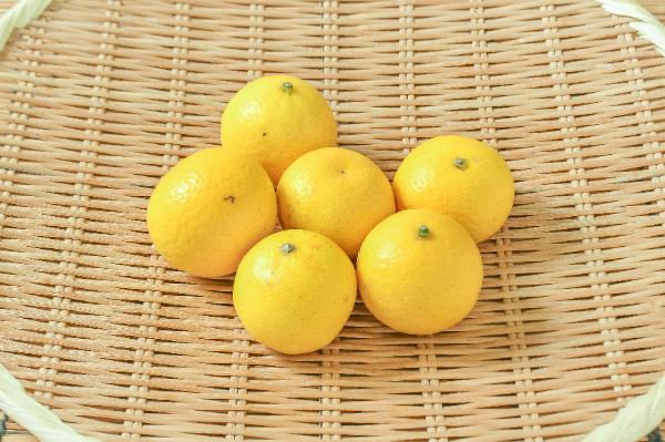 湘南ゴールド 【業務用食材の仕入れなら八面六臂】
