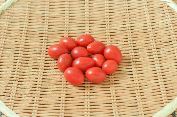 トスカーナバイオレット 【業務用食材の仕入れなら八面六臂】