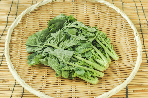 おいしい菜 八面六臂