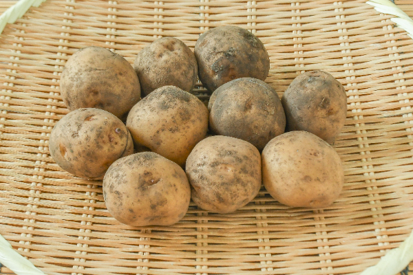キタアカリ（M）1kg