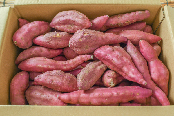 さつまいも（紅高系）（BS）箱5kg