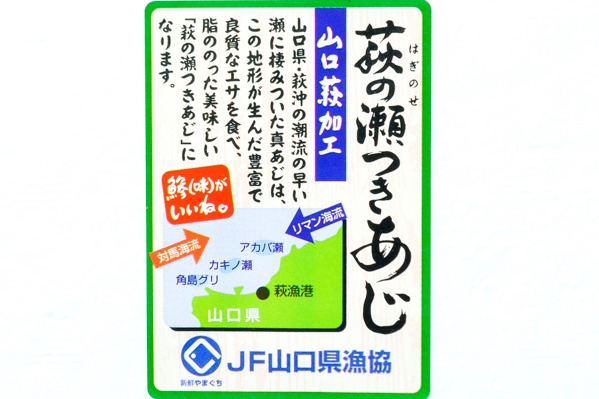 （山口県漁業協同組合）萩の瀬付きアジ開き 150－180gr (3)