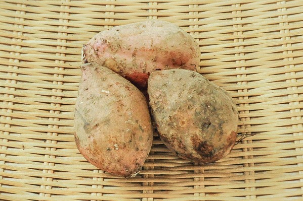 安納芋（鹿児島県産）