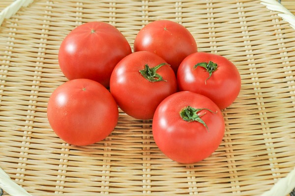 中玉トマト（エンペラー）1㎏