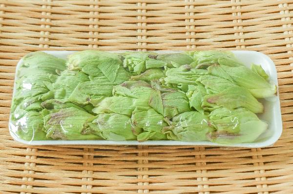 ふきのとう（蕗味噌用）