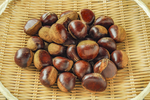 飯沼栗（2Lサイズ）（割れ）