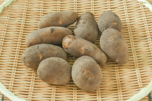 じゃがいも 【業務用食材の仕入れなら八面六臂】