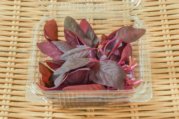 クレソン 【業務用食材の仕入れなら八面六臂】