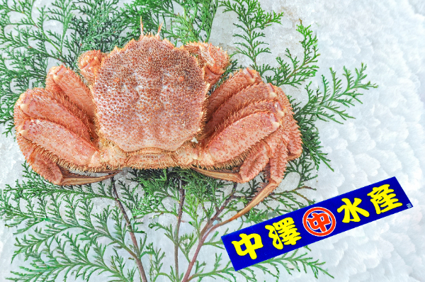 中澤水産　活毛ガニ