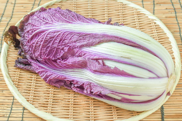 紫白菜（4玉サイズ）