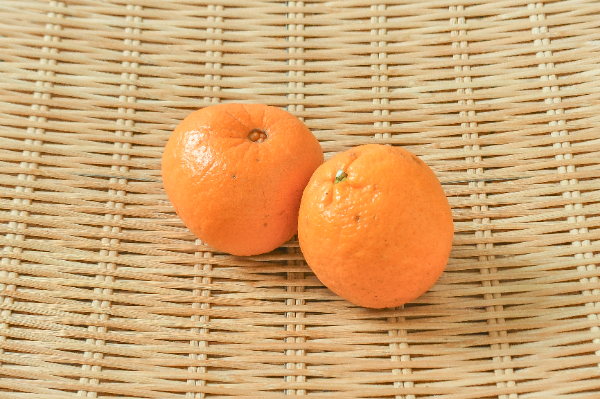 ポンカン（L） 【業務用食材の仕入れなら八面六臂】