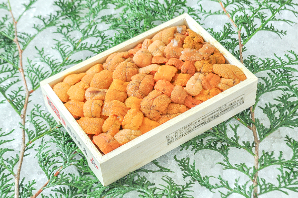 ムラサキウニ（Aバラ） 【業務用食材の仕入れなら八面六臂】