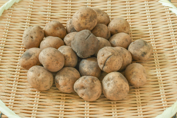 キタアカリ（2S）1kg