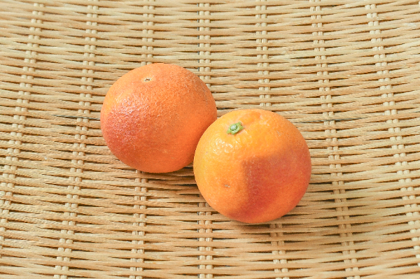 ブラッドオレンジ（2L）