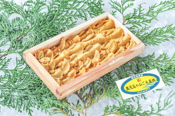 鹿児島かねご水産　ガンガゼウニ（鹿児島県産）