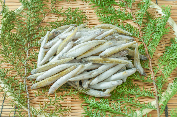 ワカサギ（レインボースメルト）500gr