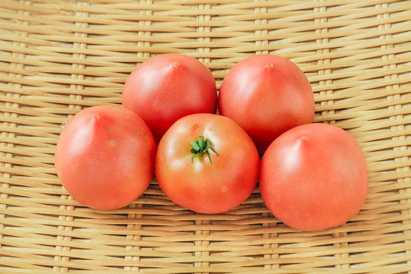トマト（小玉５P）