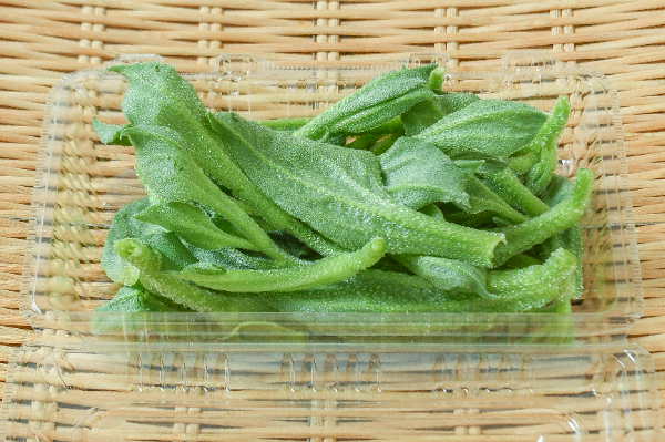 アイスプラント 【業務用食材の仕入れなら八面六臂】
